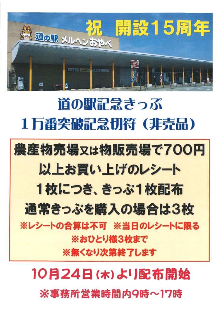 購入 道の駅 富山県【メルヘンおやべ】 記念きっぷ（レインボー券）9300番台